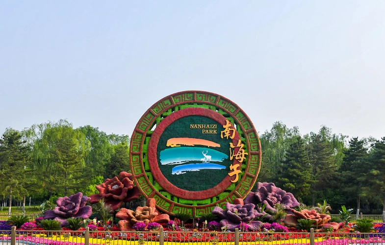 Layover-Friendly Activities Near Daxing: Unlock Hidden Gems Just Minutes from Your Hotel